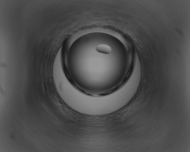 X0000090961492200708021404