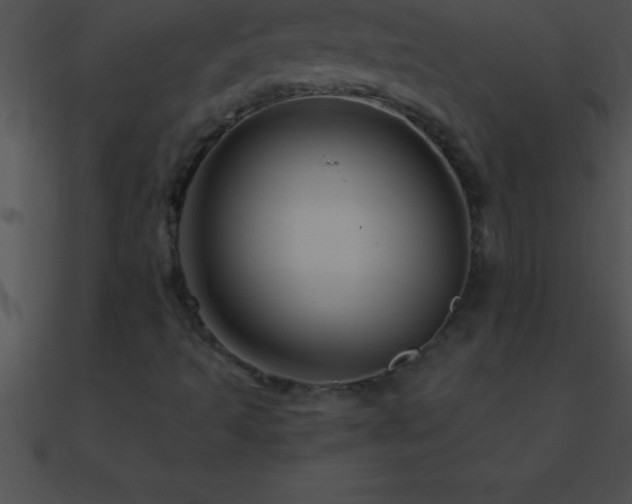 X0000090961493200708021404