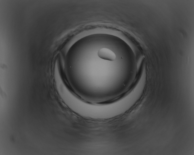 X0000090961494200708021404