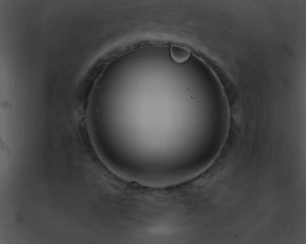 X0000090961495200708021404