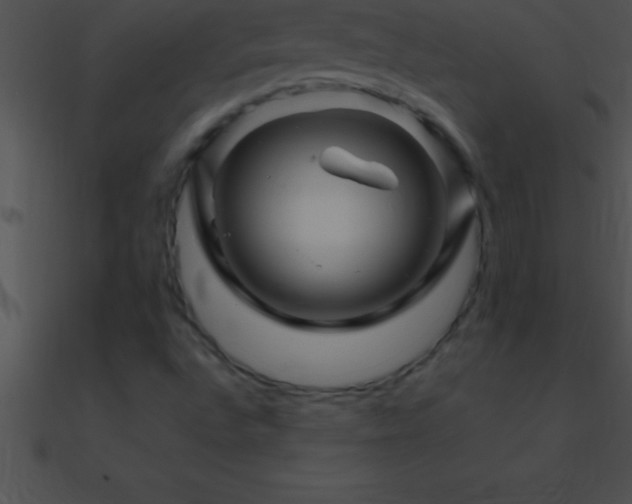X0000090961496200708021404