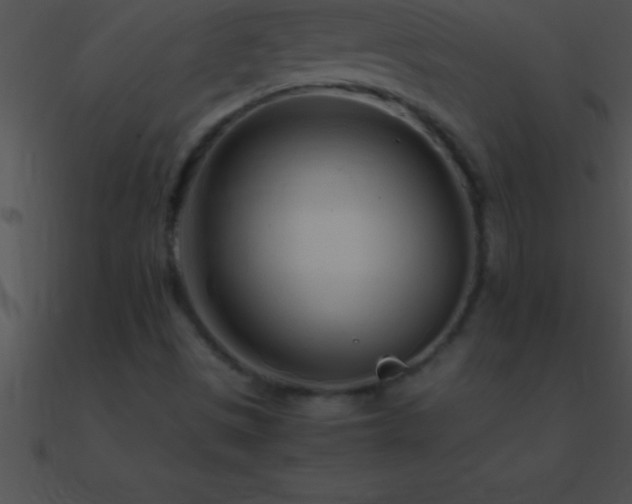 X0000090961497200708021404