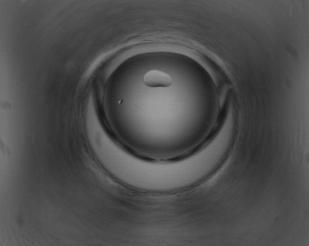 X0000090961498200708021404
