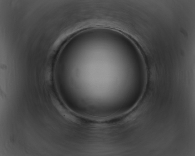 X0000090961499200708021404