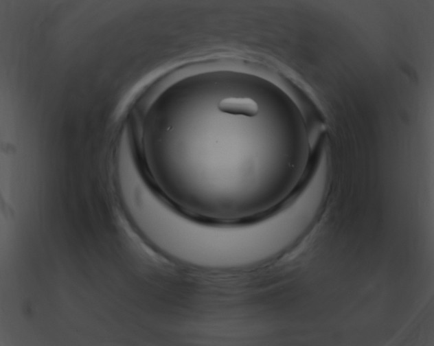 X0000090961500200708021404