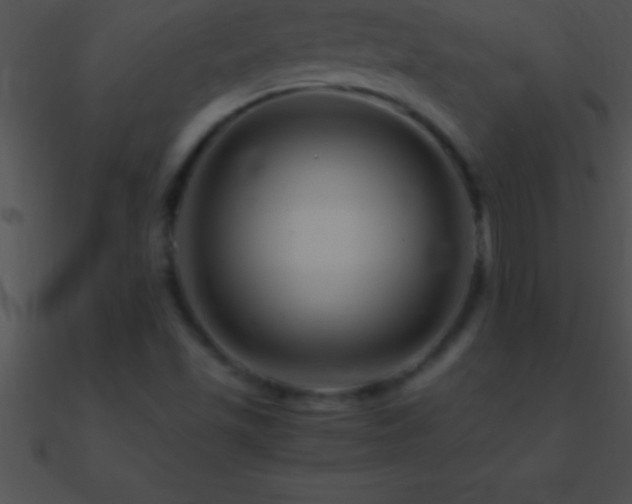 X0000090961501200708021404