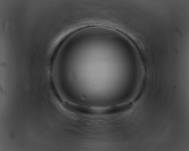 X0000090961503200708021404