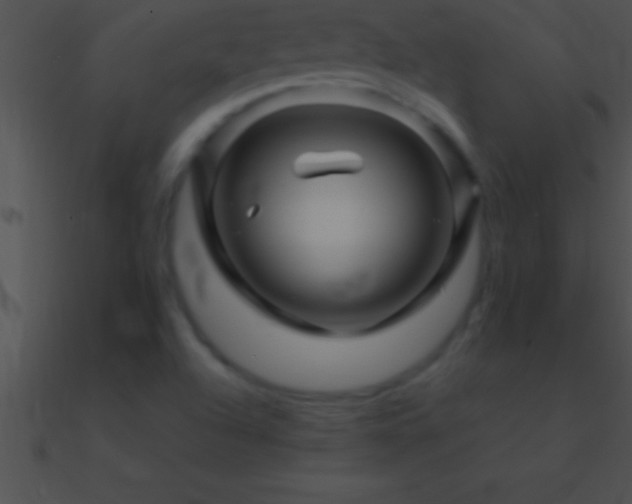 X0000090961504200708021404