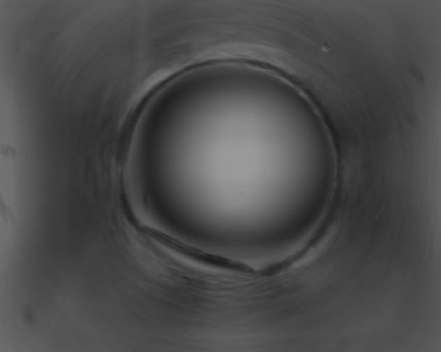 X0000090961505200708021404
