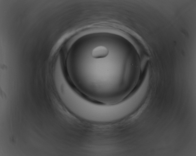 X0000090961506200708021404