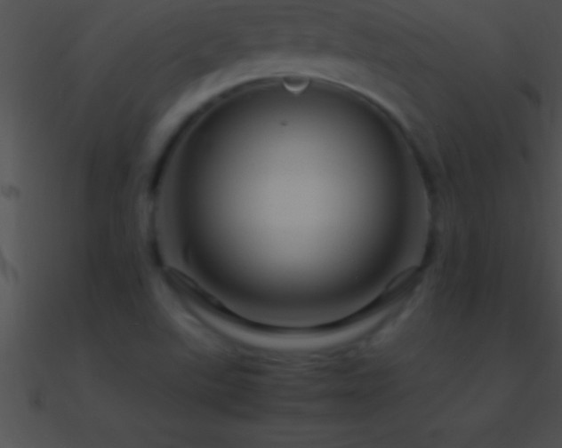 X0000090961507200708021404