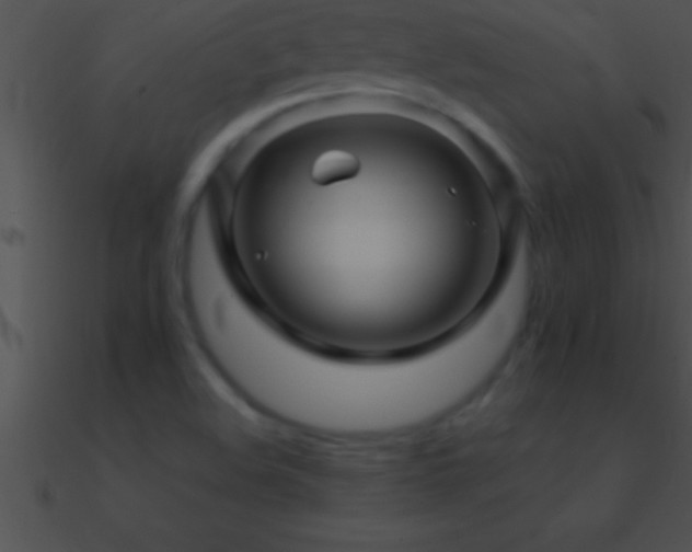 X0000090961508200708021404
