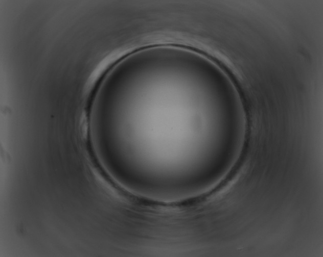 X0000090961509200708021404