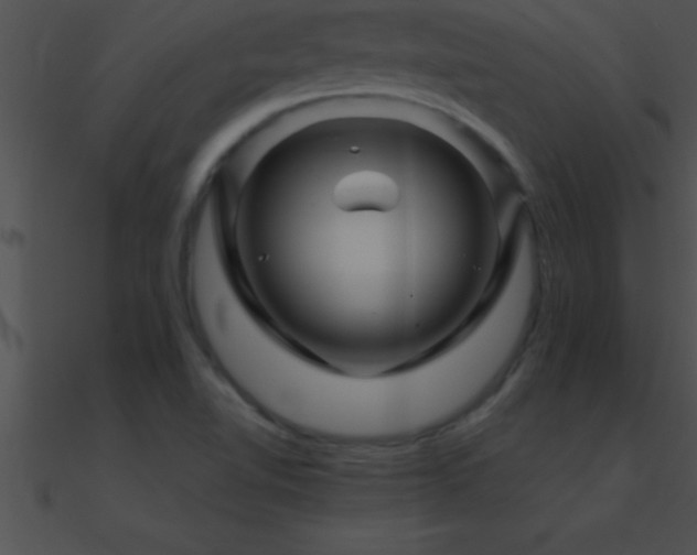 X0000090961510200708021404
