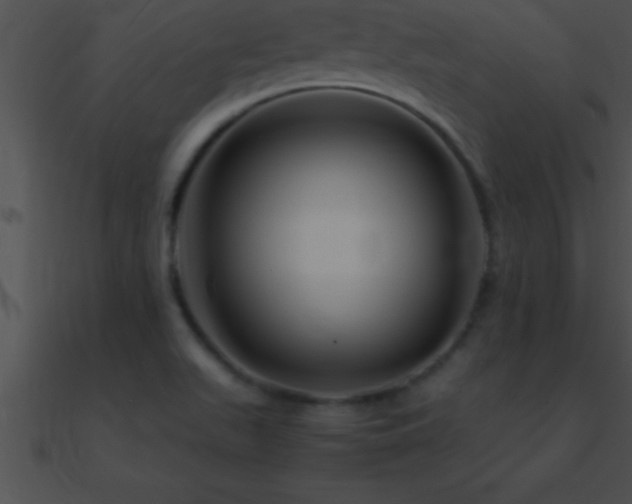 X0000090961511200708021404