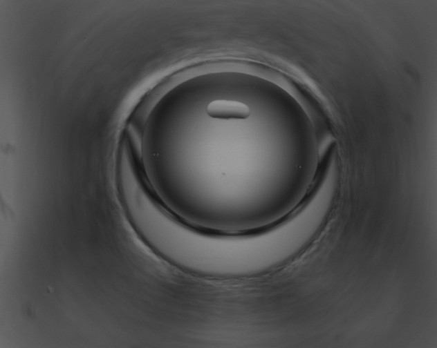 X0000090961512200708021404