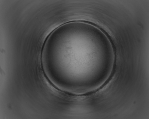 X0000090961513200708021404