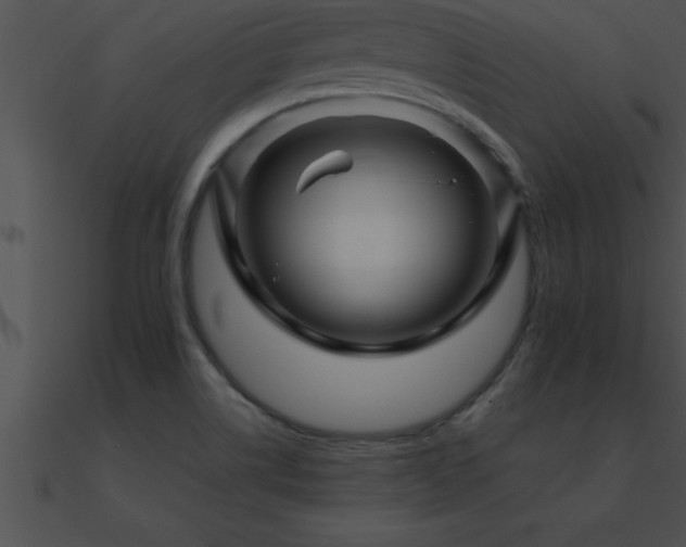 X0000090961514200708021404