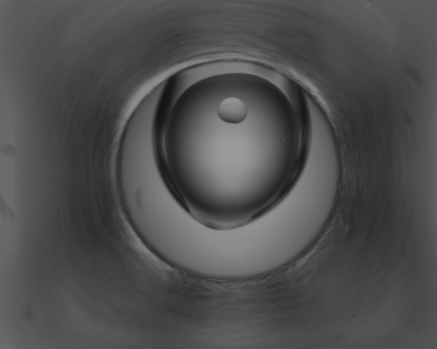 X0000090961516200708021405