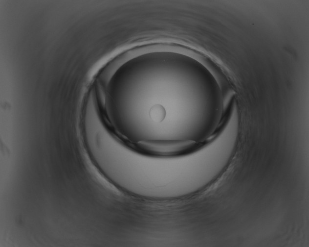 X0000090961518200708021405