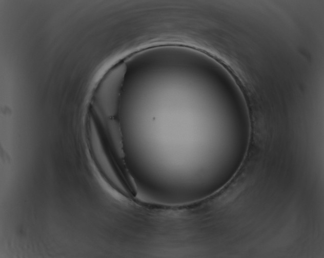 X0000090961519200708021405