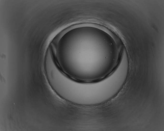 X0000090961520200708021405