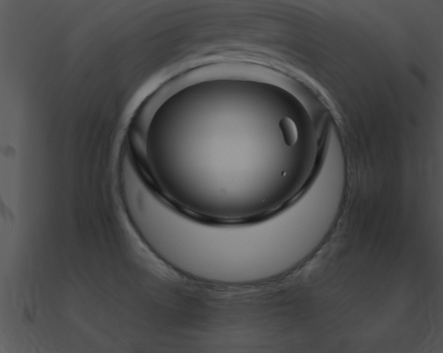 X0000090961522200708021405