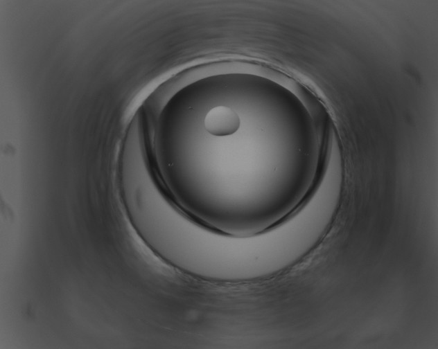 X0000090961524200708021405