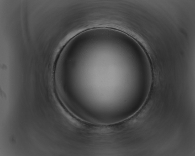 X0000090961525200708021405