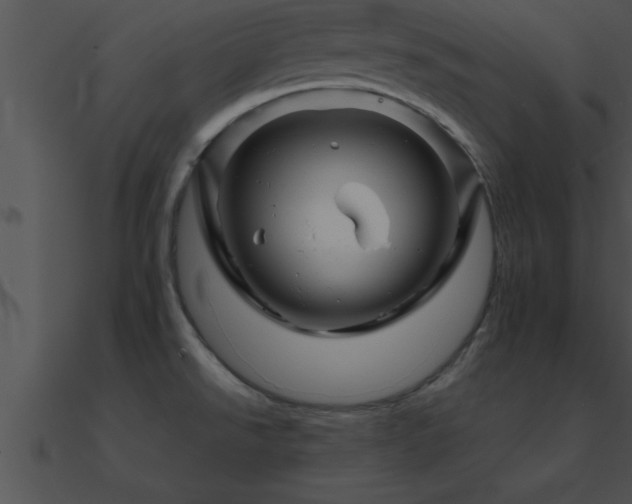 X0000090961526200708021405
