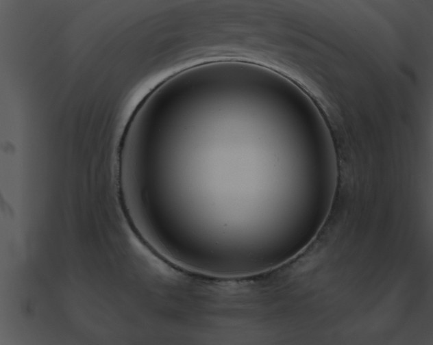 X0000090961527200708021405