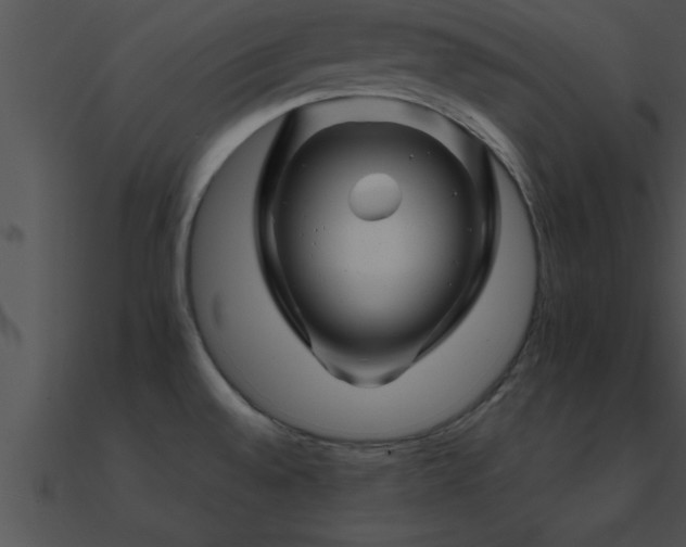 X0000090961528200708021405