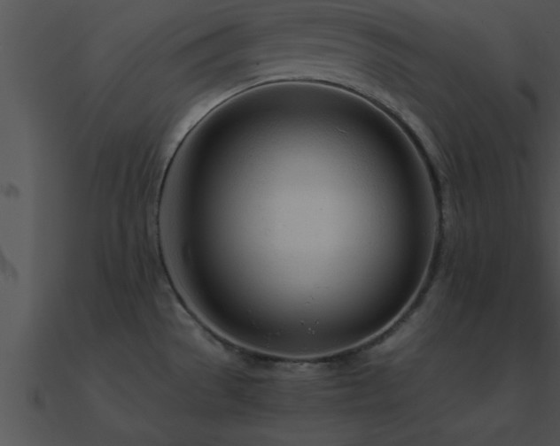 X0000090961529200708021405