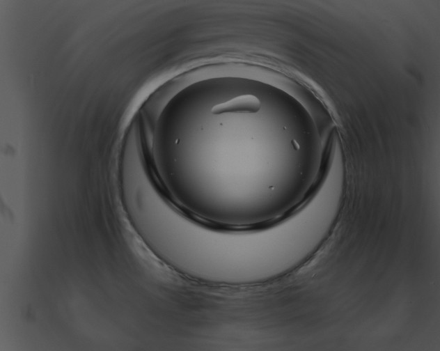 X0000090961530200708021405