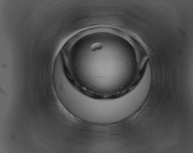 X0000090961532200708021405