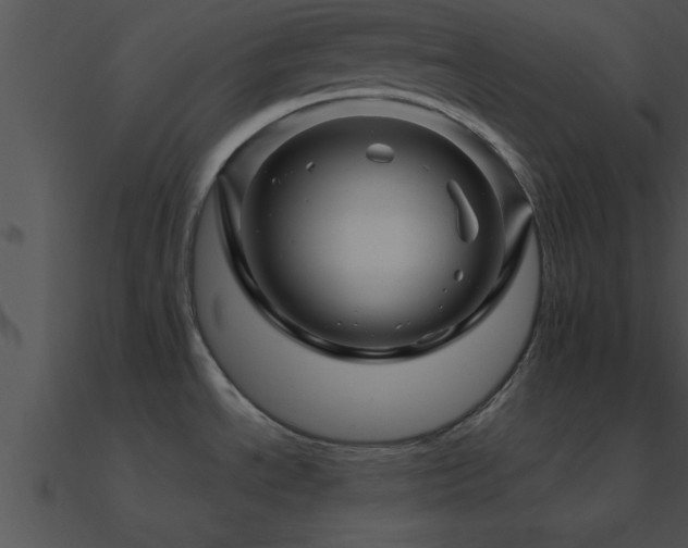 X0000090961534200708021405