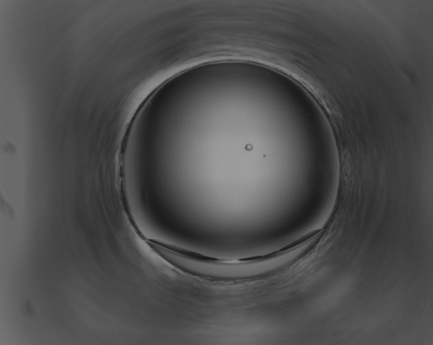 X0000090961535200708021405