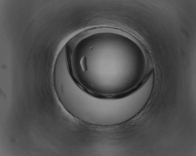 X0000090961536200708021405