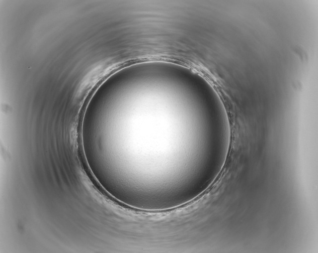 X0000090960002200708091403