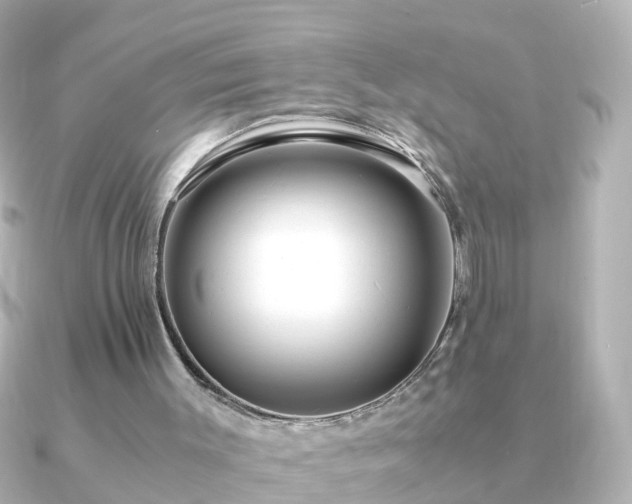 X0000090960003200708091403
