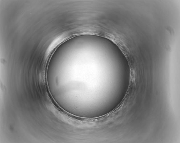 X0000090960004200708091403