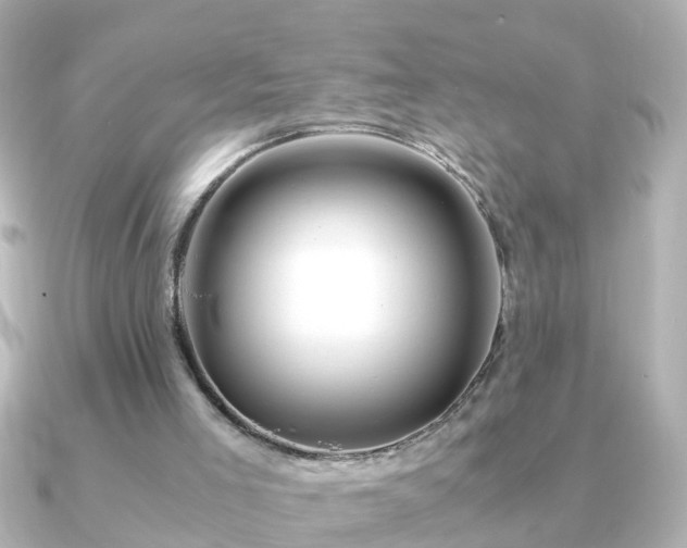 X0000090960005200708091403