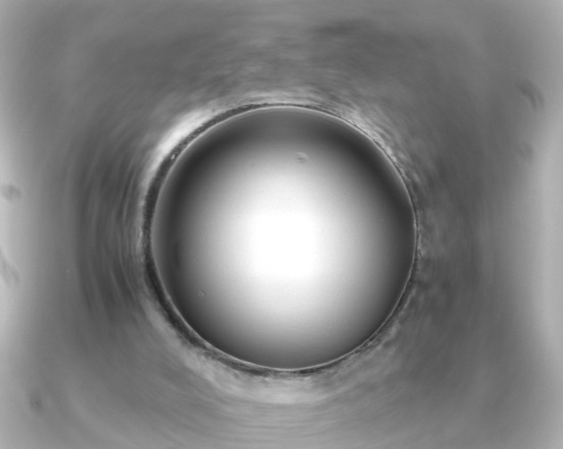 X0000090960008200708091403