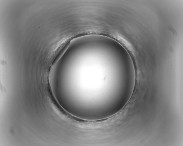 X0000090960009200708091402