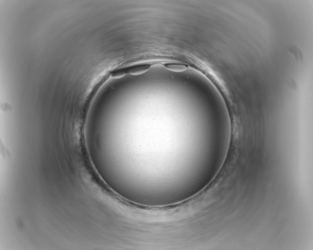 X0000090960010200708091402