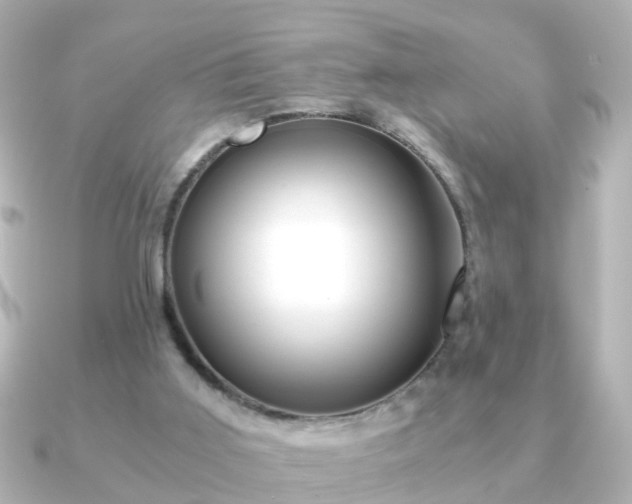 X0000090960011200708091402