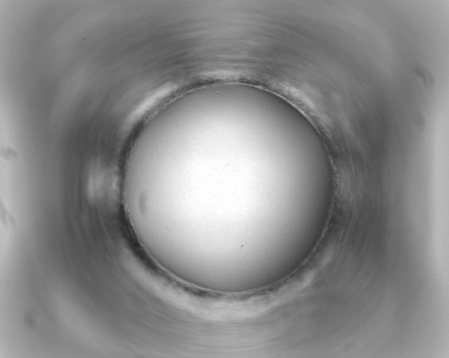 X0000090960016200708091402
