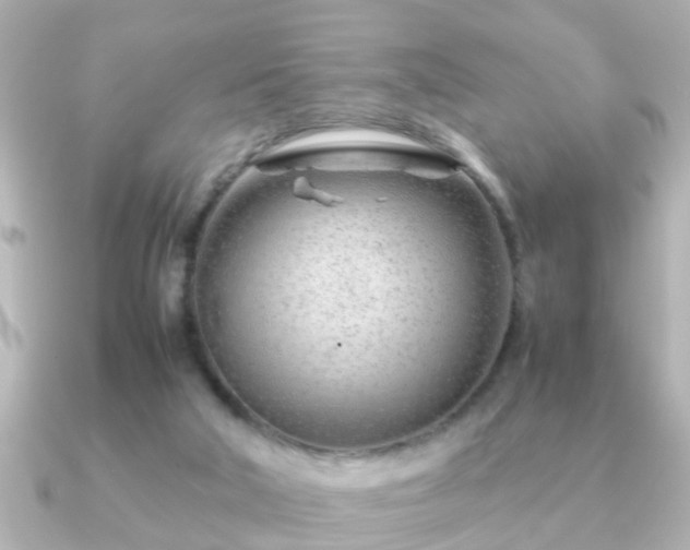 X0000090960018200708091402
