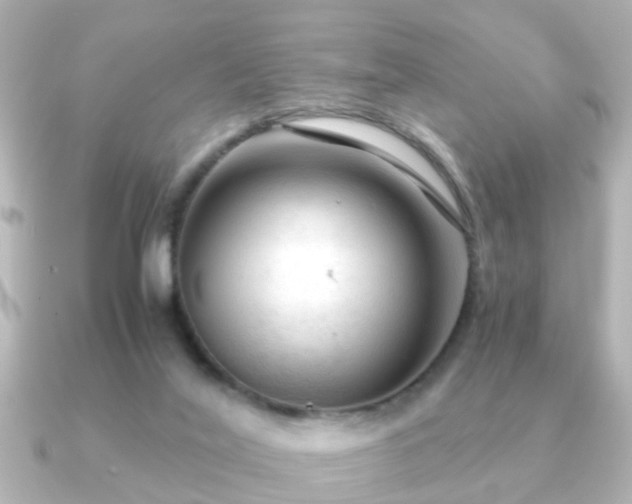 X0000090960020200708091402