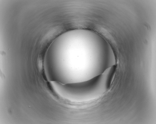 X0000090960021200708091402